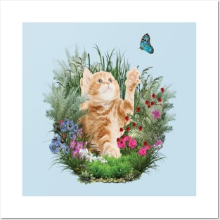 Ginger kitten playing with a blue butterfly Posters and Art